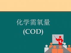COD和BOD區(qū)別與關系